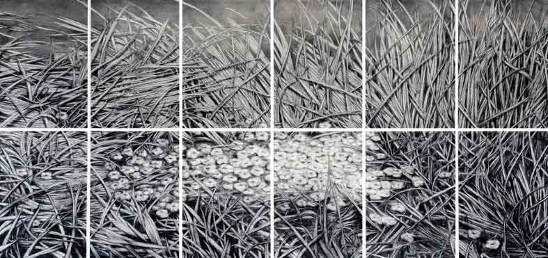 Galerie.Z: Rainer Wölzl "Gras des Vergessens"  2008/09, Kohle/Papier, 12-teilig, 200 x 420 cm 